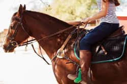 woman riding horse during equine therapy
